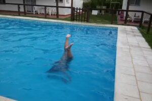 Los Palmares del Urugua-I Bungalows