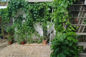 Los troncos del talar