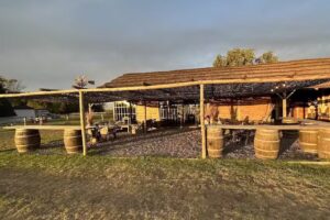 Magical Ranch – Gypsy Vanners – Sólo con Reserva Previa – Recreación – Educación – Terapias asistidas con caballos