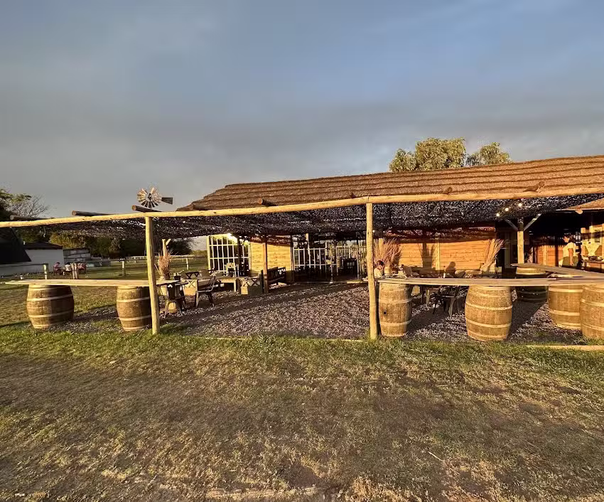 Magical Ranch – Gypsy Vanners – Sólo con Reserva Previa – Recreación – Educación – Terapias asistidas con caballos