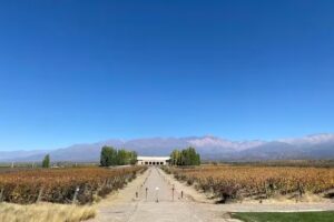 Mamut Tours and Travel