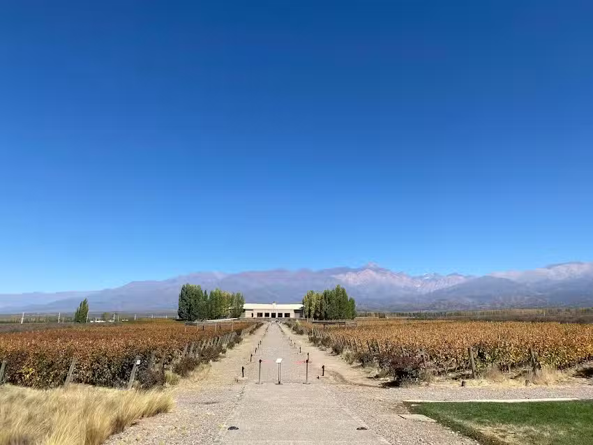 Mamut Tours and Travel