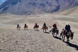 Manzano Historico Excursions, Tunuyán