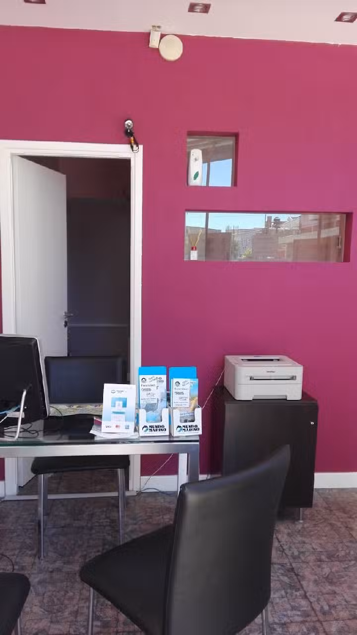 Mariela Lonne Turismo