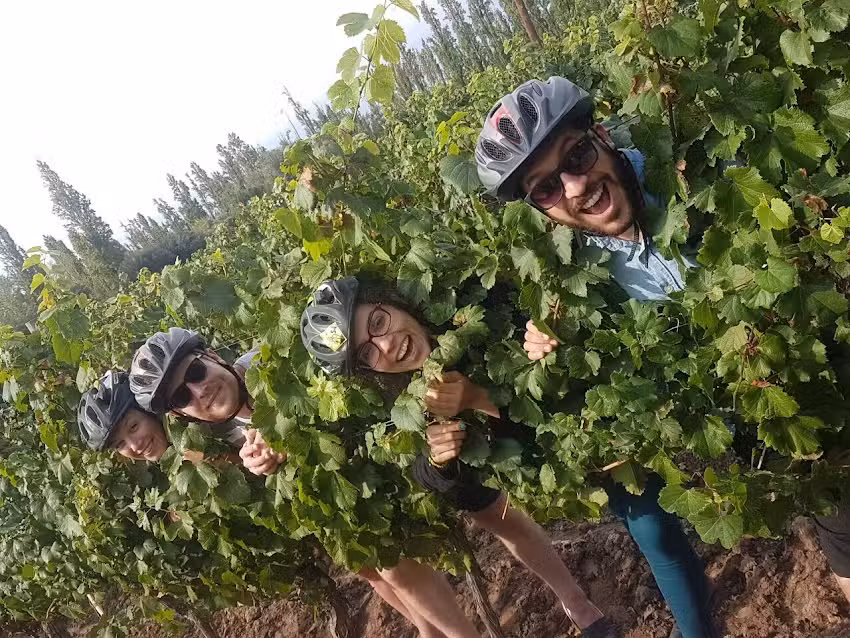 Martin’s Bikes Wine Tours