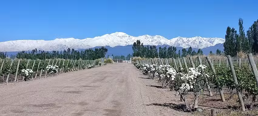 Mauri Garcia Turismo