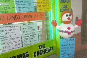 MDM viajes y excursiones