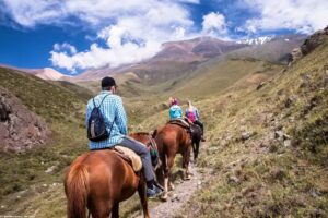 Mendoza Andes / The Tintos