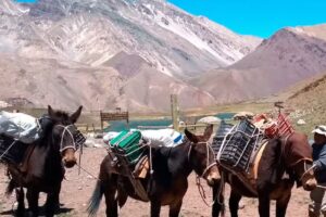 Mendoza Customized Tours