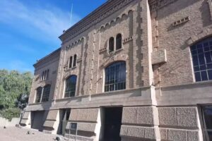 Mendoza Wine Experience