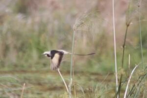 Mi Casa De Barro EXCURSIONES @todoibera