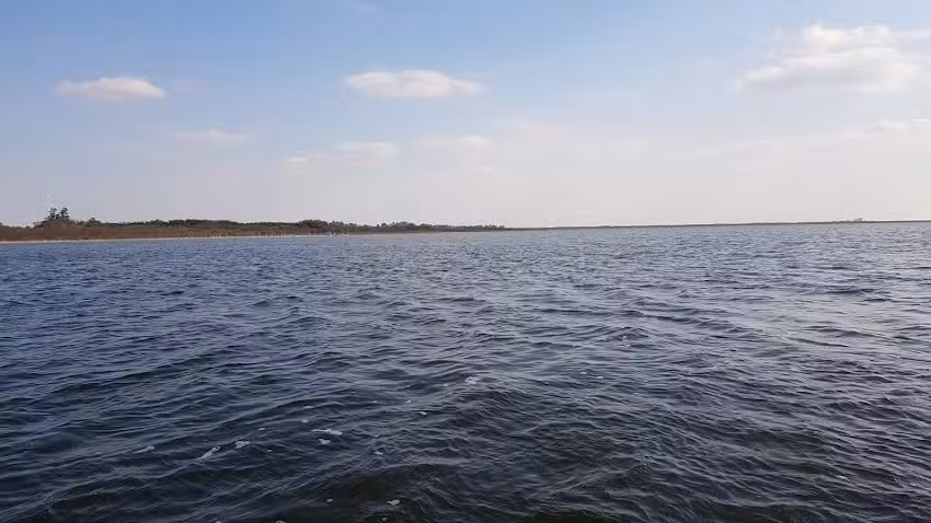 Michelutti Excursiones