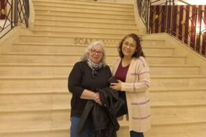 Molachino Viajes Y Turismo