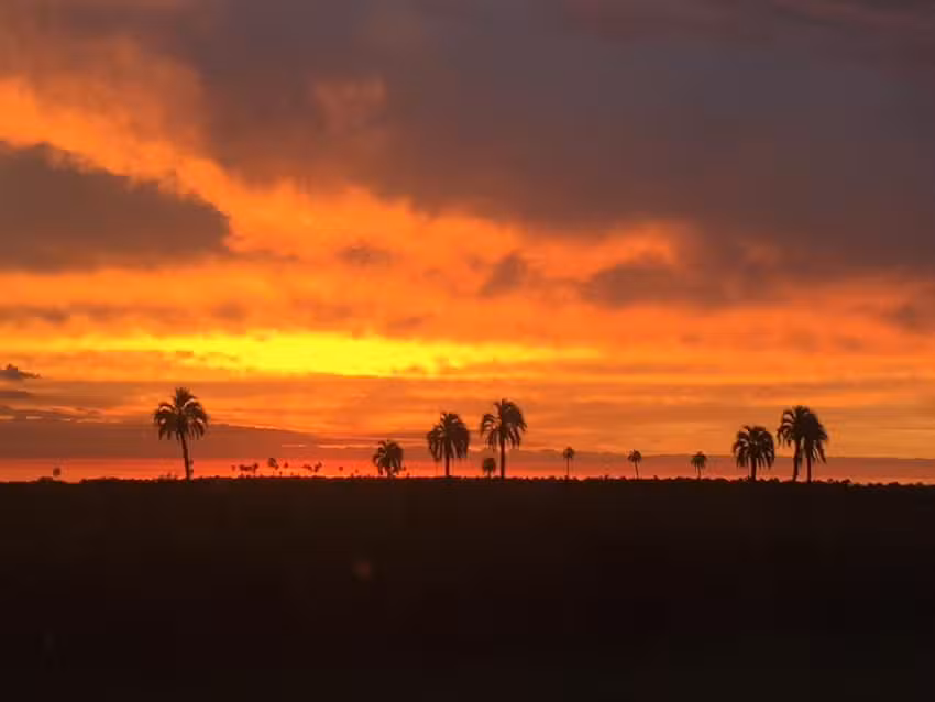 Ñandubay Viajes y Turismo