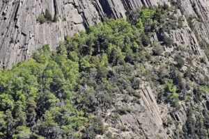 Naviera Lácar y Nonthué