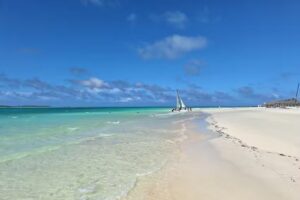 New Fly by Despegar Nuevo Centro