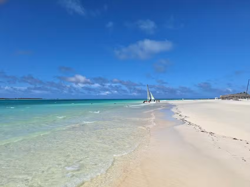 New Fly by Despegar Nuevo Centro