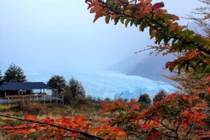 New Fly by Despegar – Villa Allende