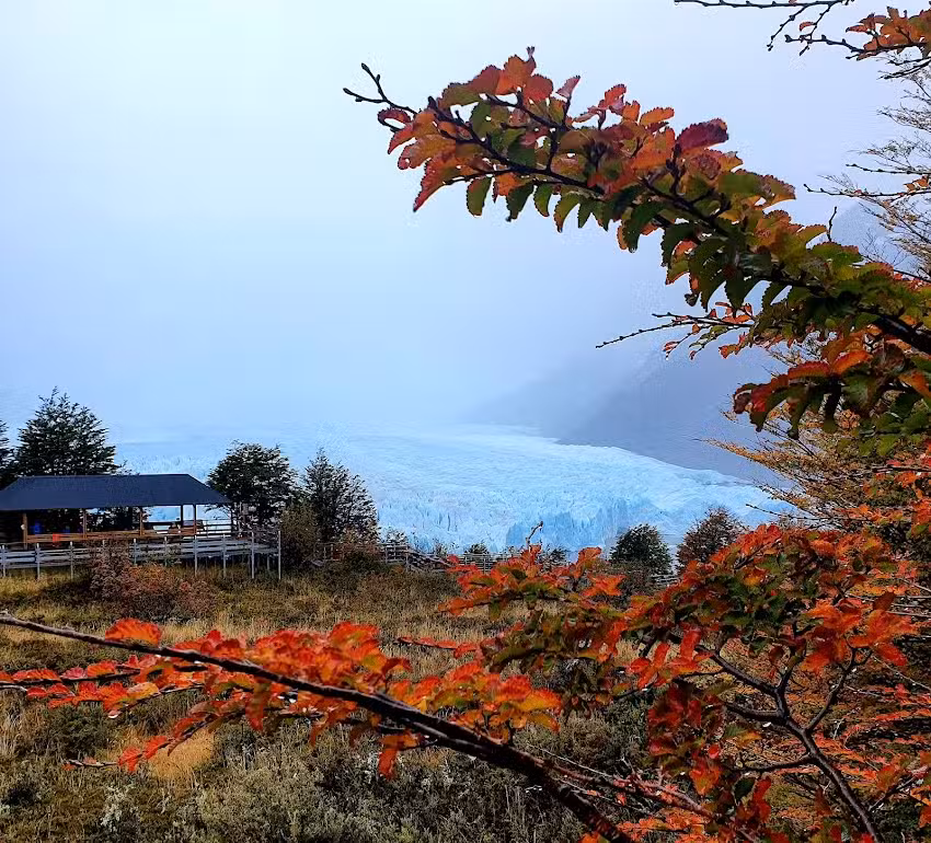 New Fly by Despegar – Villa Allende