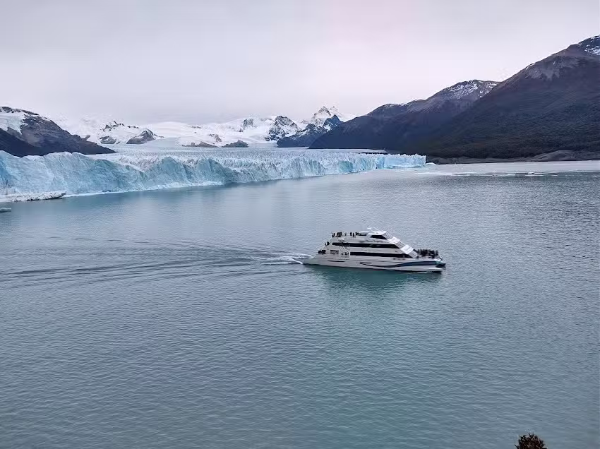 Newfly by Despegar Barrio Jardin