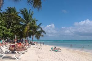 Newfly by Despegar Paseo Lugones