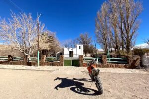 Nielsen Expediciones