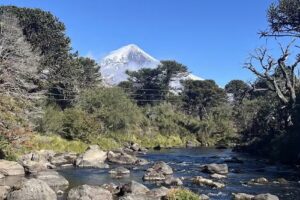 Nómada Patagonia Travel