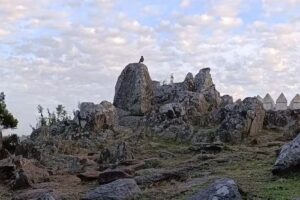 Nómade Turismo Excursiones