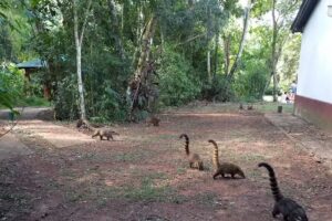 NORTE ADVENTOURS VIAJES Y TURISMO