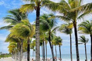 Nuuktal Agencia De Viajes