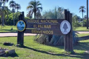 Of. de Inform. Turística de la Región del Palmar