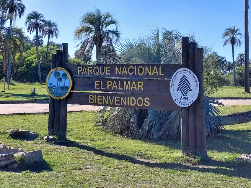 Of. de Inform. Turística de la Región del Palmar