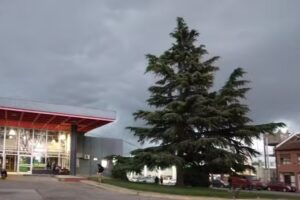 Oficina de Información Turística-Terminal de Ómnibus