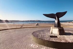 Oficina de Turismo Puerto Pirámides