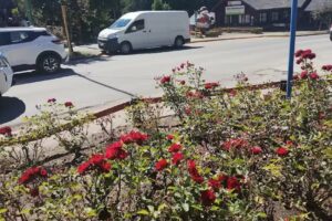 Oficina de Turismo Villa la Angostura