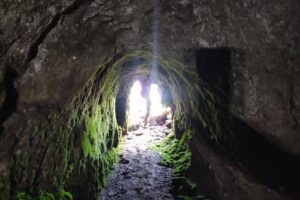 Oscura Overa Logistica en Montaña