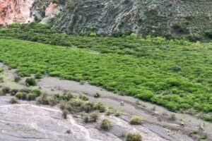 OVERLAND SALTA -Cicloturismo & Bikig tours