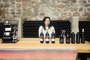 Parada Norte Turismo