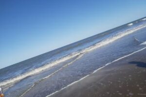 Parador Exclusivo De Flecha Bus Viajes