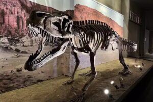 Parque Provincial Ischigualasto