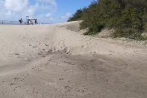 Pasajes Turismo Calchaqui Tur