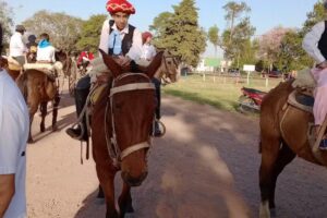 Paseo a caballo los amigos