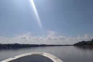 Paseos Nauticos Guillermo