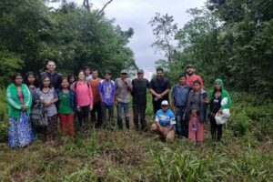 Passiflora Misiones.DMC