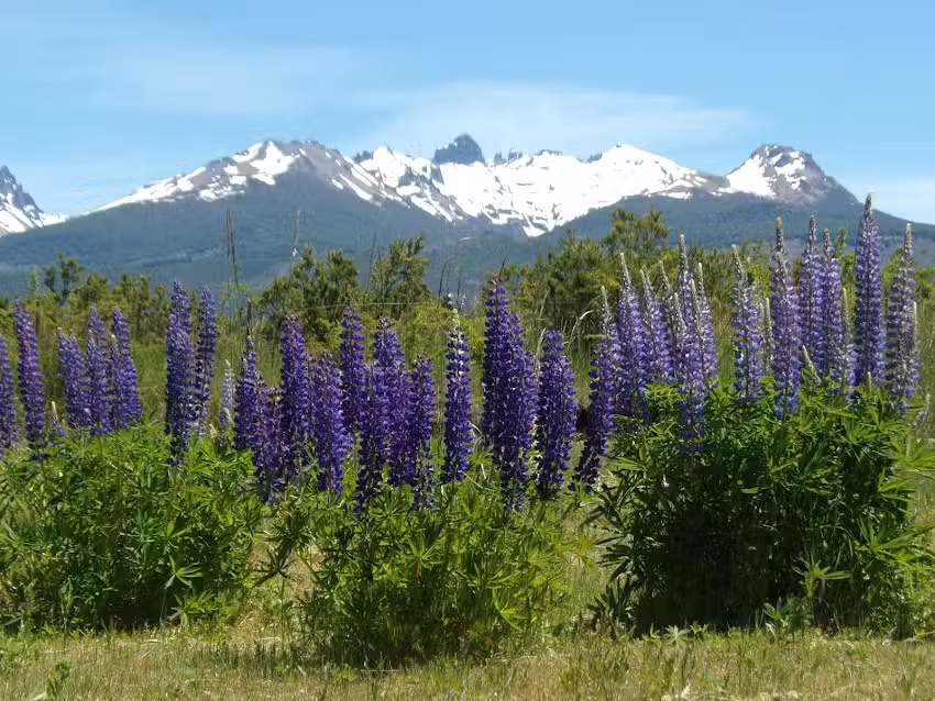 Patagonia River Guides