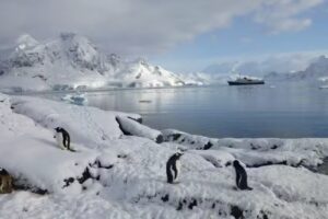 People Travel and Experience