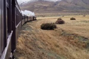 Pezzati Viajes – Recoleta