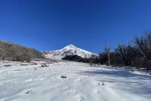 Picurú viajes y turismo