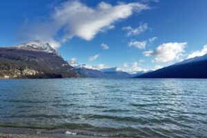 Pinguinos Expediciones