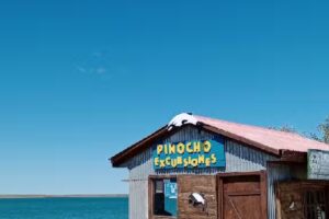 Pinocho Excursiones